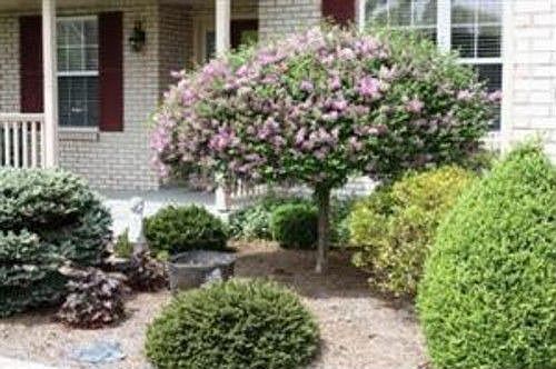 2nd image of 5756 Shady Meadows Dr