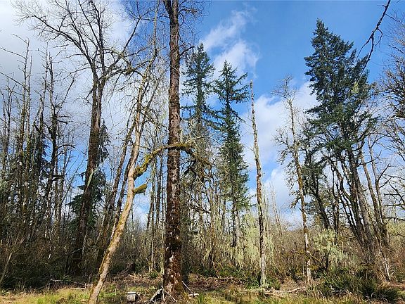 3rd image of 285 Justus Rd