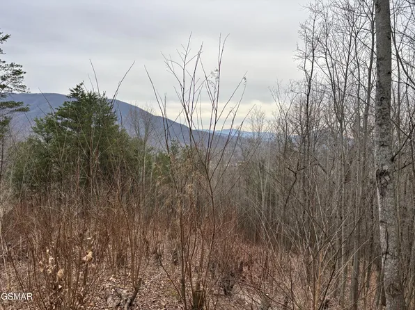 19 Dogwood Ridge Way Lot 19, Sevierville, TN 37862