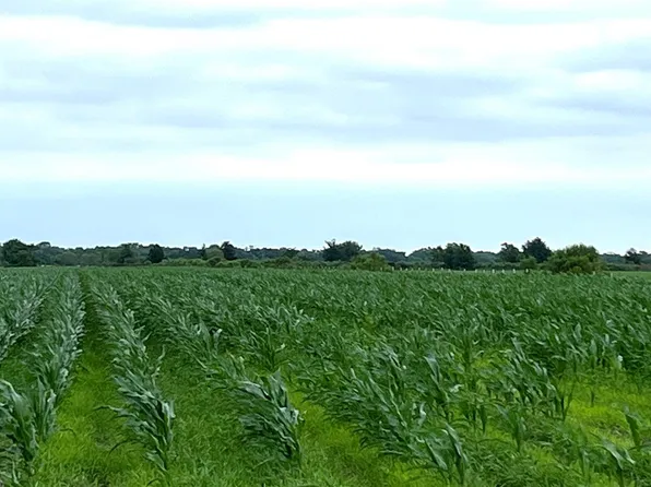 0 County Road 390, El Campo, TX 77437