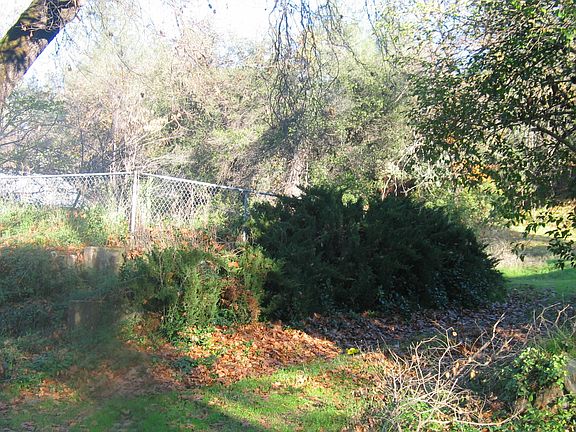 3rd image of Shasta Park Dr