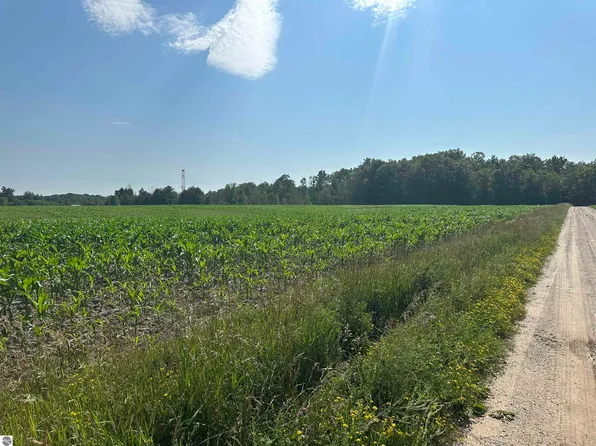 Vl Forest Rd, Marion, MI 49665