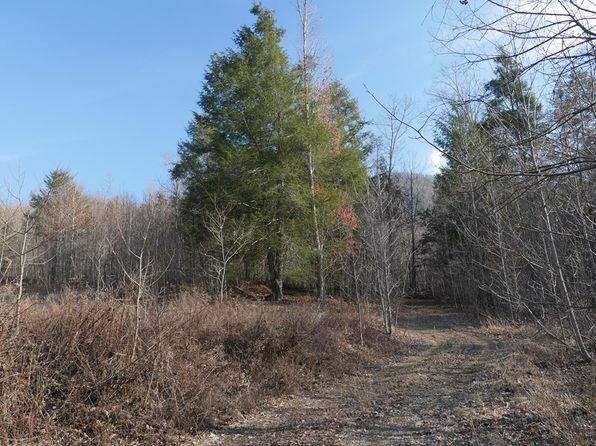 Poor Valley Rd, Ceres, VA 24318