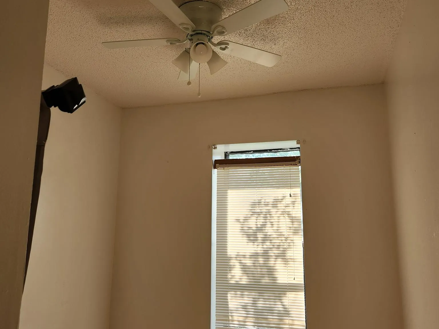 2 bed, 1800 sqft, $1,100 — Photo 2