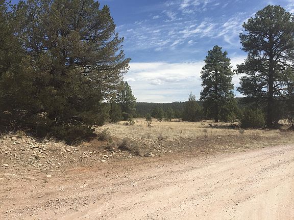 3rd image of LOT 1 E Elk Dr Lot 1