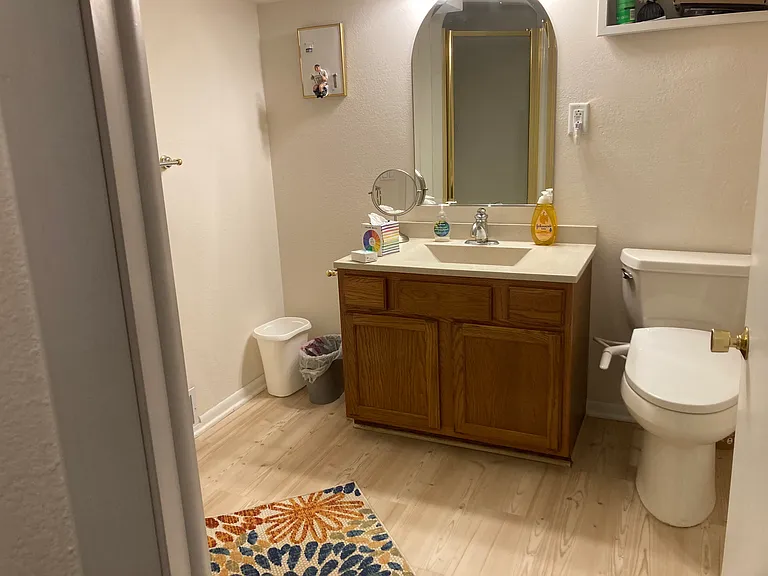 Lower level full bathroom