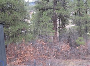 719 E Stollsteimer Rd, Pagosa Springs, CO 81147