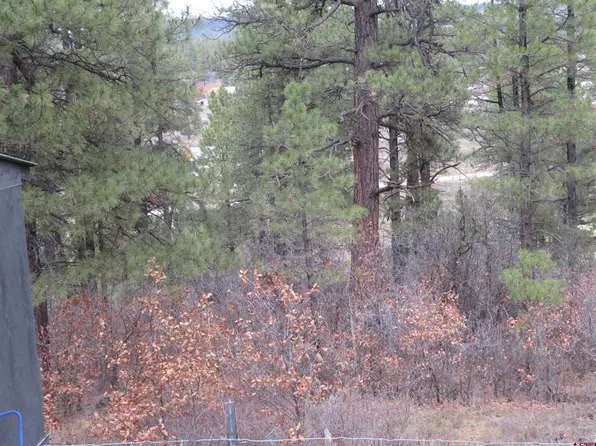 719 E Stollsteimer Road, Pagosa Springs, CO 81147