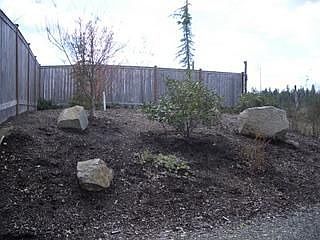 2nd image of 111 E Melissa Ln