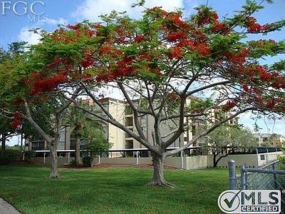 2nd image of 2121 Collier Ave APT 209