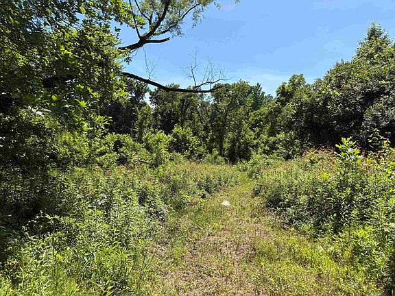 3rd image of 0 Walsh Rd Lot 2