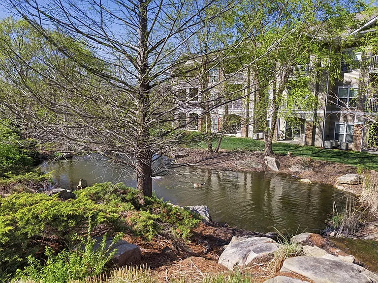 2409 Boulder Springs Dr — Photo 34