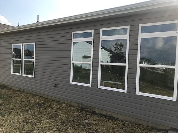 back windows for good lightings