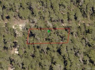 316 Wren Ave, Inverness, FL 34452