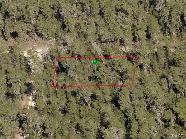 316 Wren Ave, Inverness, FL 34452