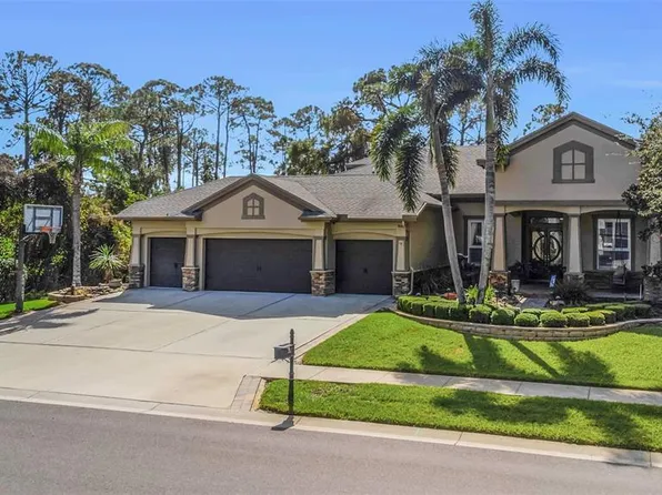 3668 Janus Way, Palm Harbor, FL 34685