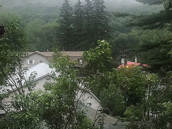 View from living room 