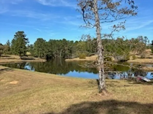 1430 John Wilkes Rd, Lyons, GA 30436