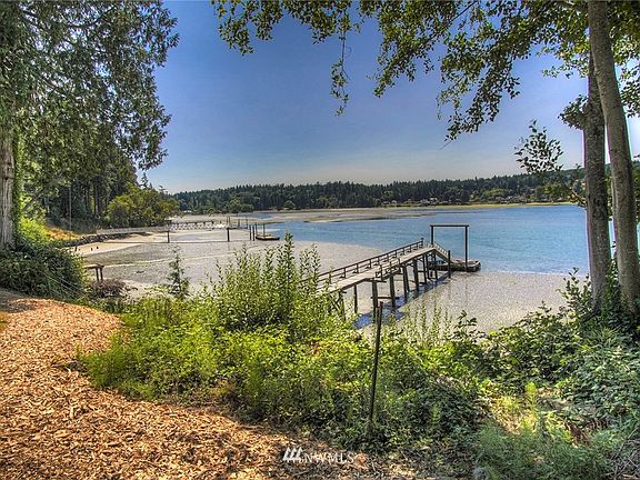Easement trail to dock (Picture taken with -3.0 tide)