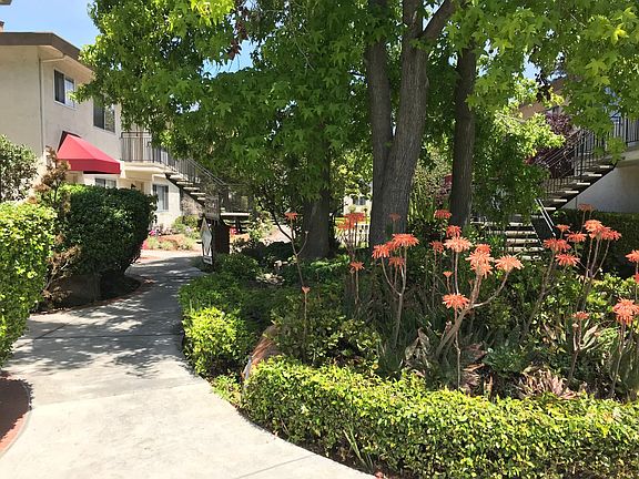 2nd image of 475 Cumulus Ave