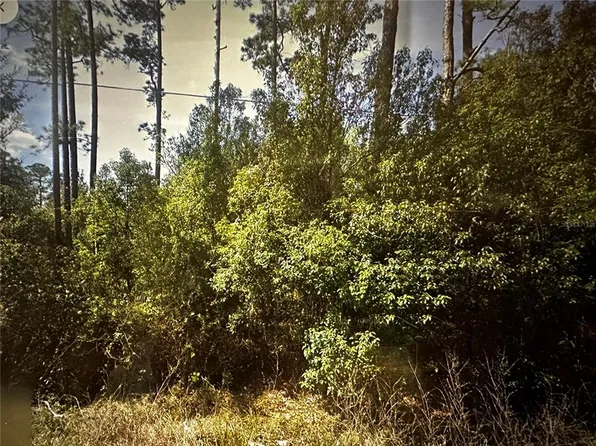0 Lake St #13, Paisley, FL 32767