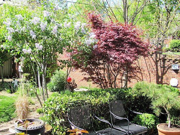 Patio/Landscaped Back Yard