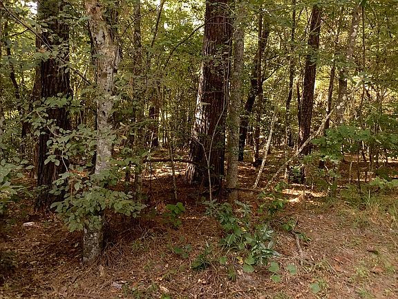 2nd image of 9101 County Road 22