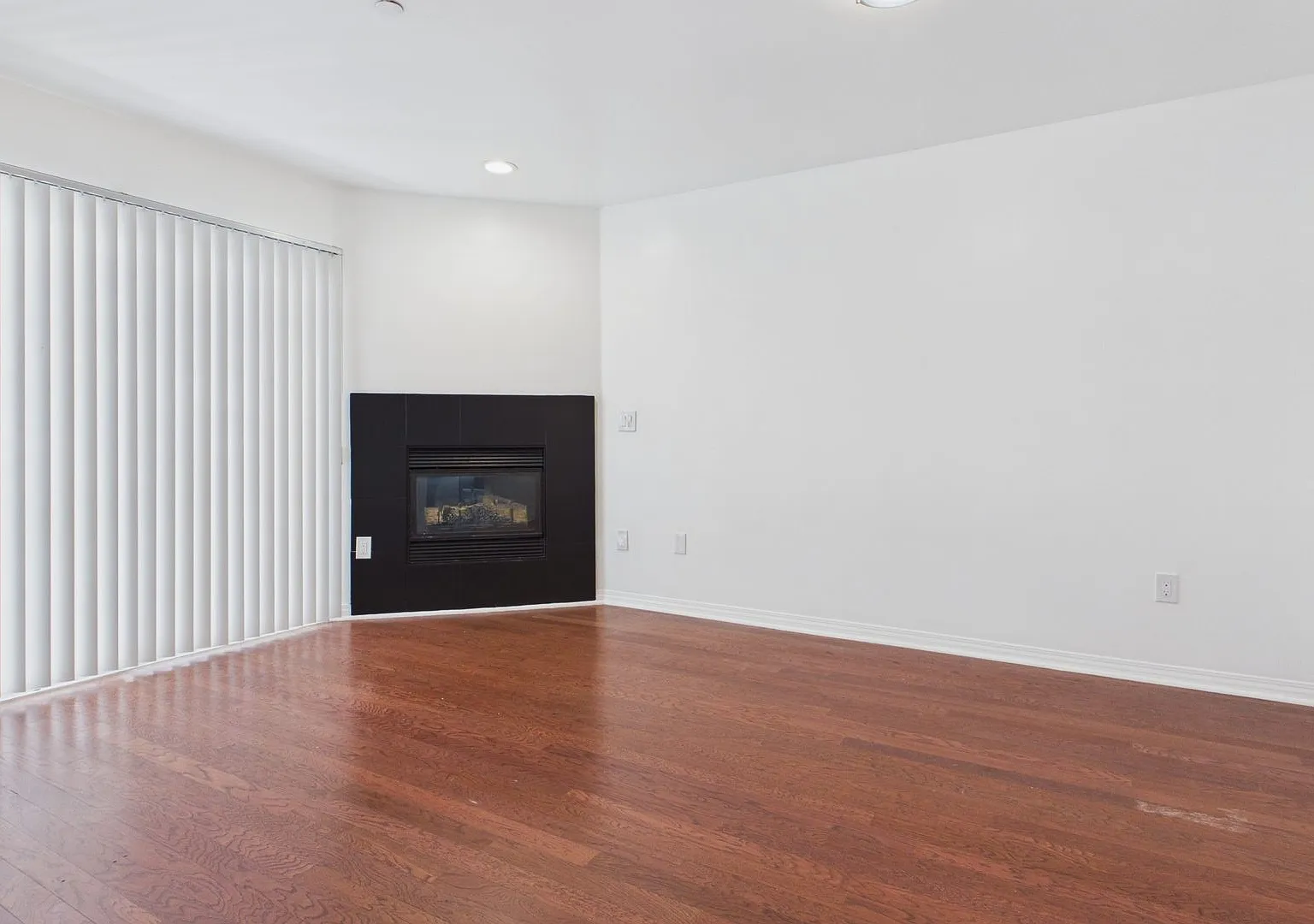 Wilcox Luxury Apartments — Photo 4
