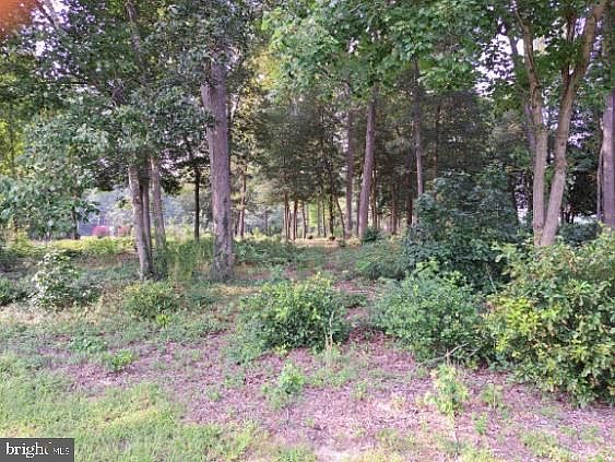 2nd image of LOT 5 Delmar Rd