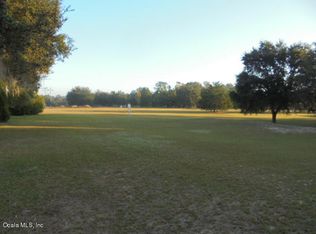 9867 SE 160th Ave, Ocklawaha, FL 32179