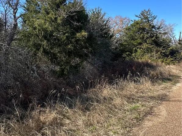 Lake View Loop, Somerville, TX 77879