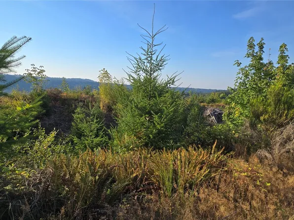 16001 223rd Avenue E, Orting, WA 98360