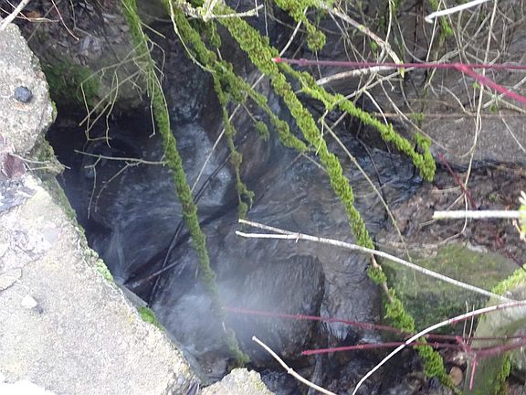 5th image of 17208 E Blanchard Rd