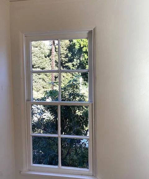 Green view from all rooms