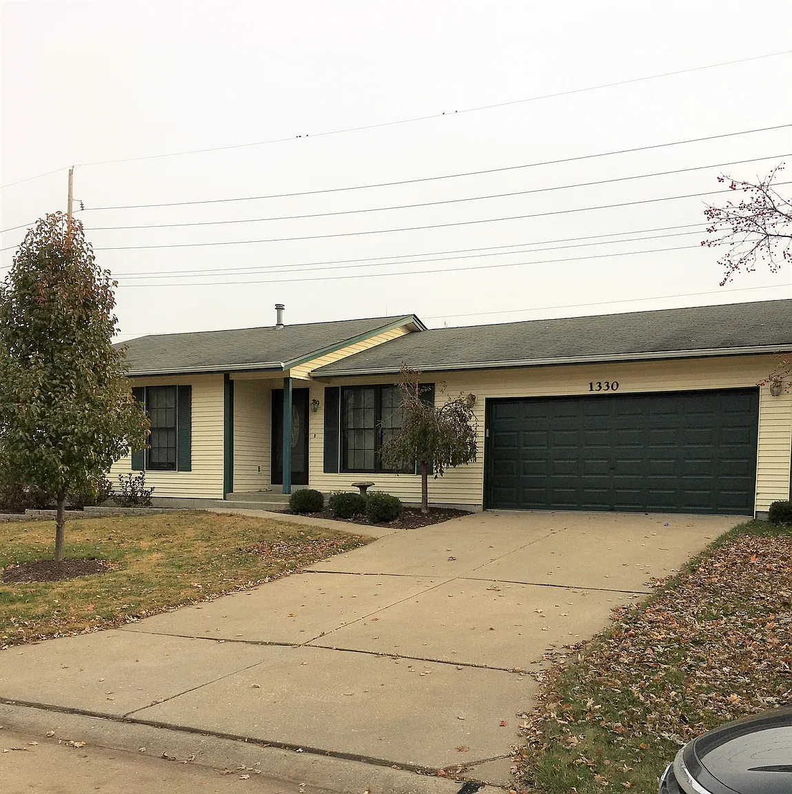 1330 White Hawk Dr photo 1