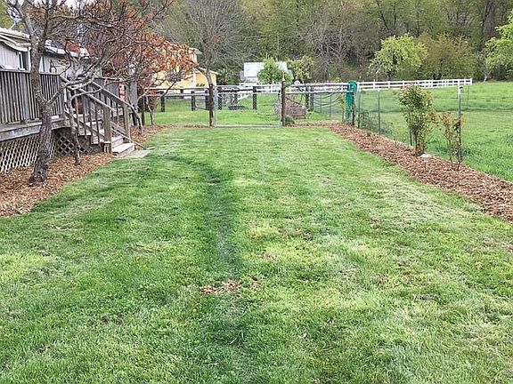 Back lawn