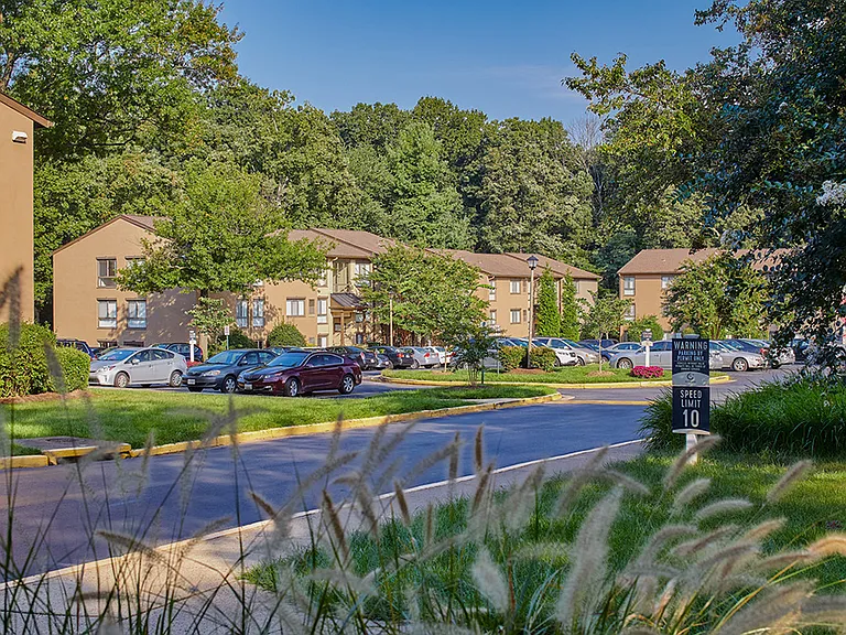 Reston Glade — Photo 24
