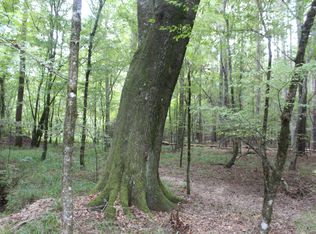 Hopewell Rd NE, Brookhaven, MS 39601