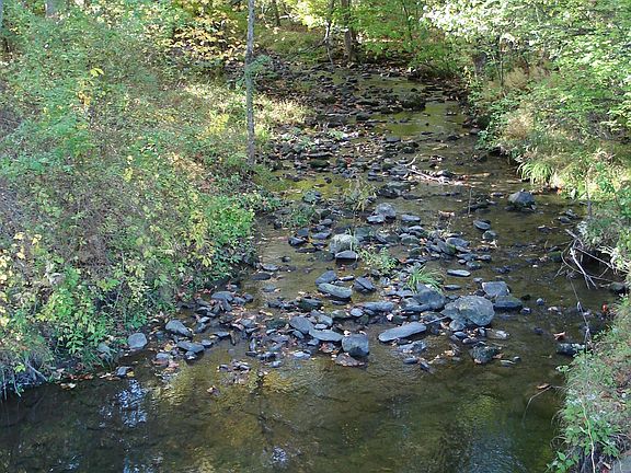 Clove Brook runs through it