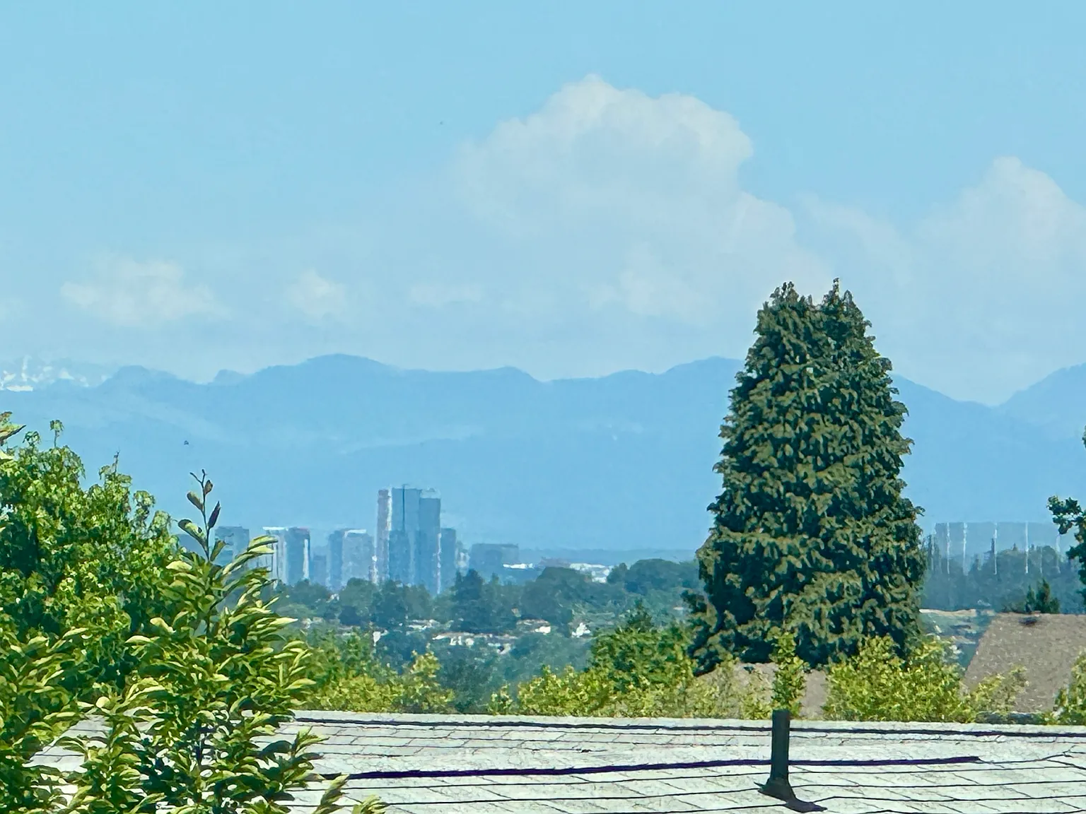 1 bed, 700 sqft, $1,450 — Photo 3