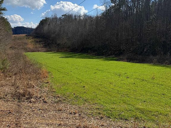 3rd image of 80 Snow Point Rd