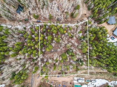 Ute Trail, Evergreen, CO, 80439