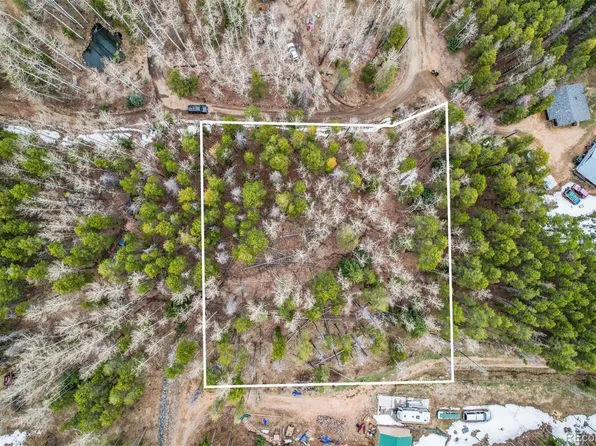 Ute Trail, Evergreen, CO 80439