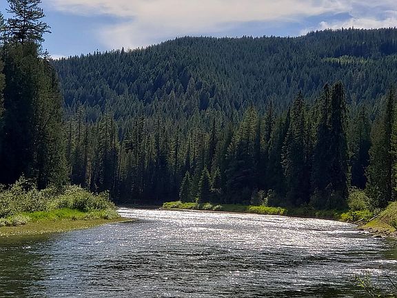 3rd image of 929 Fox Creek Spur