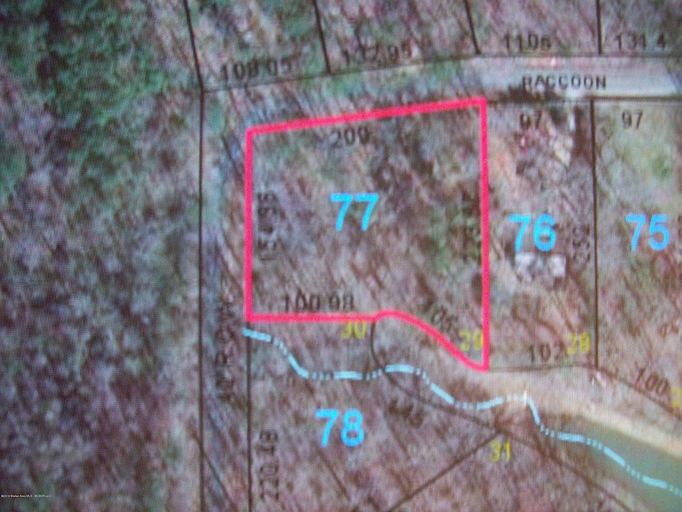 2nd image of Raccoon Branch Rd