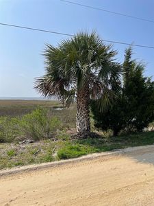 Ezell Beach Rd, Perry, FL, 32348