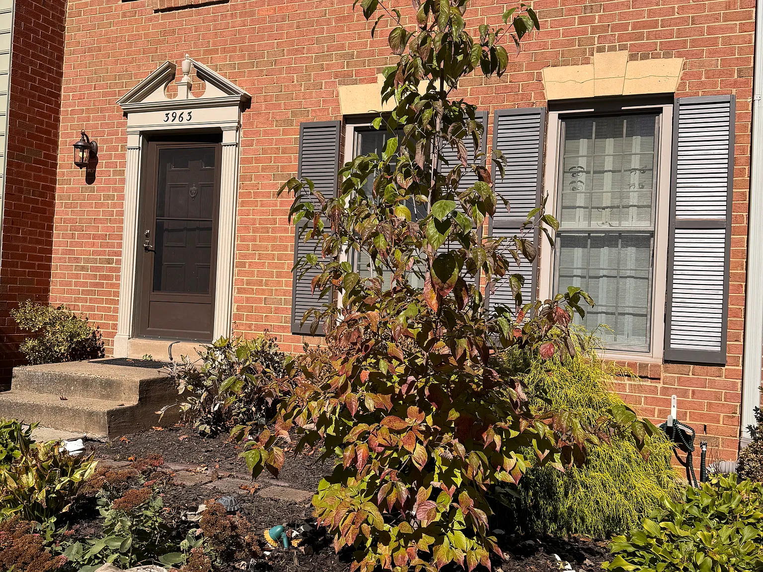 3 bed, 3.5 bath, 2310 sqft, $3,200 — Photo 3