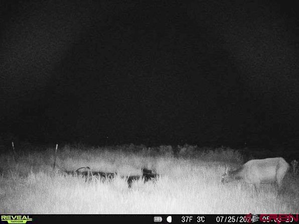 TBD TBD Road, Center, CO 81125