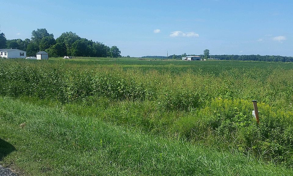 2nd image of McPeck Rd
