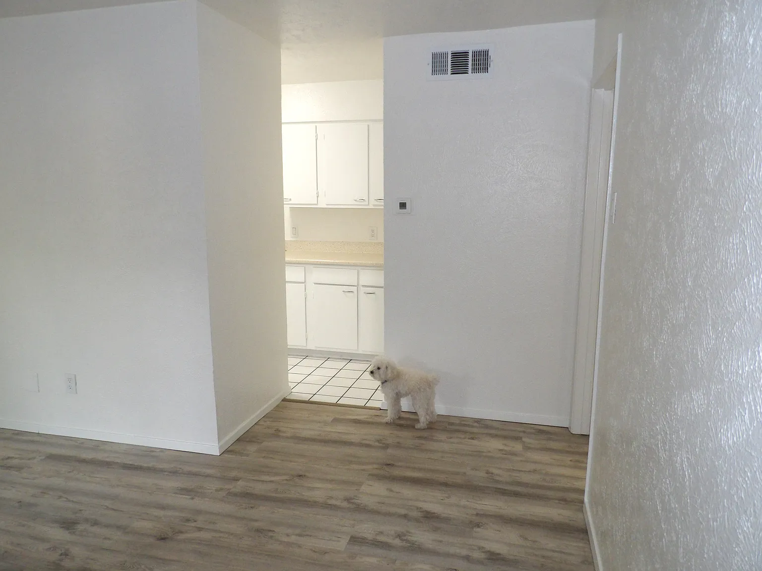 1 bed, 538 sqft, $1,400 — Photo 4